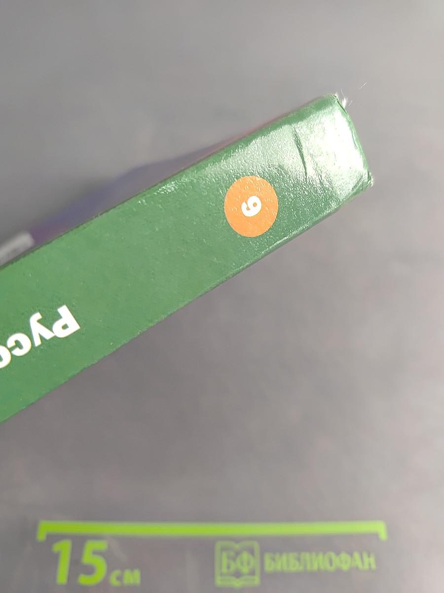 Русский язык 9 класс