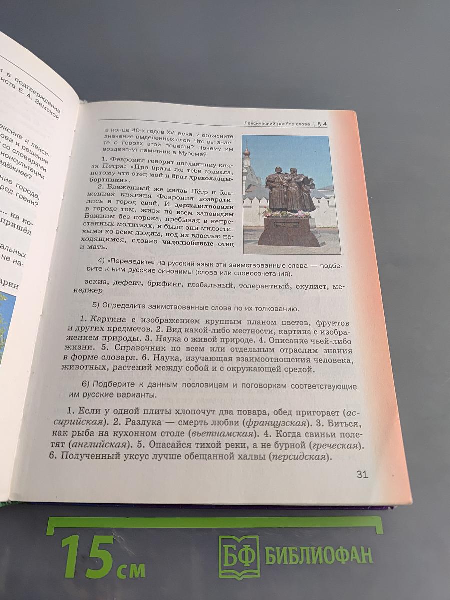 Русский язык 9 класс