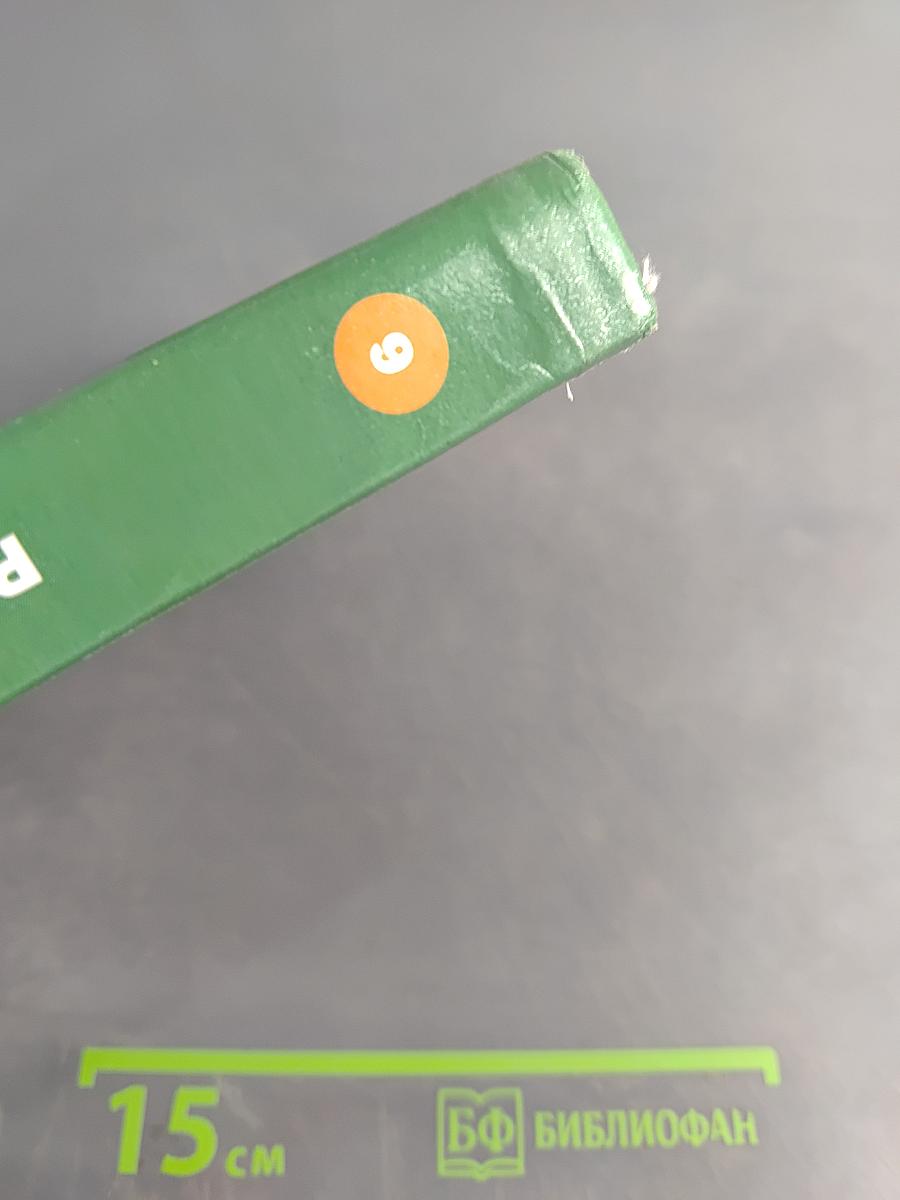 Русский язык 9 класс