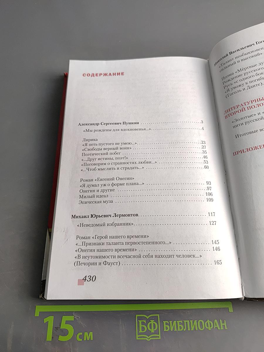 Литература. 9 класс. Часть II