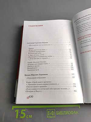Литература. 9 класс. Часть II