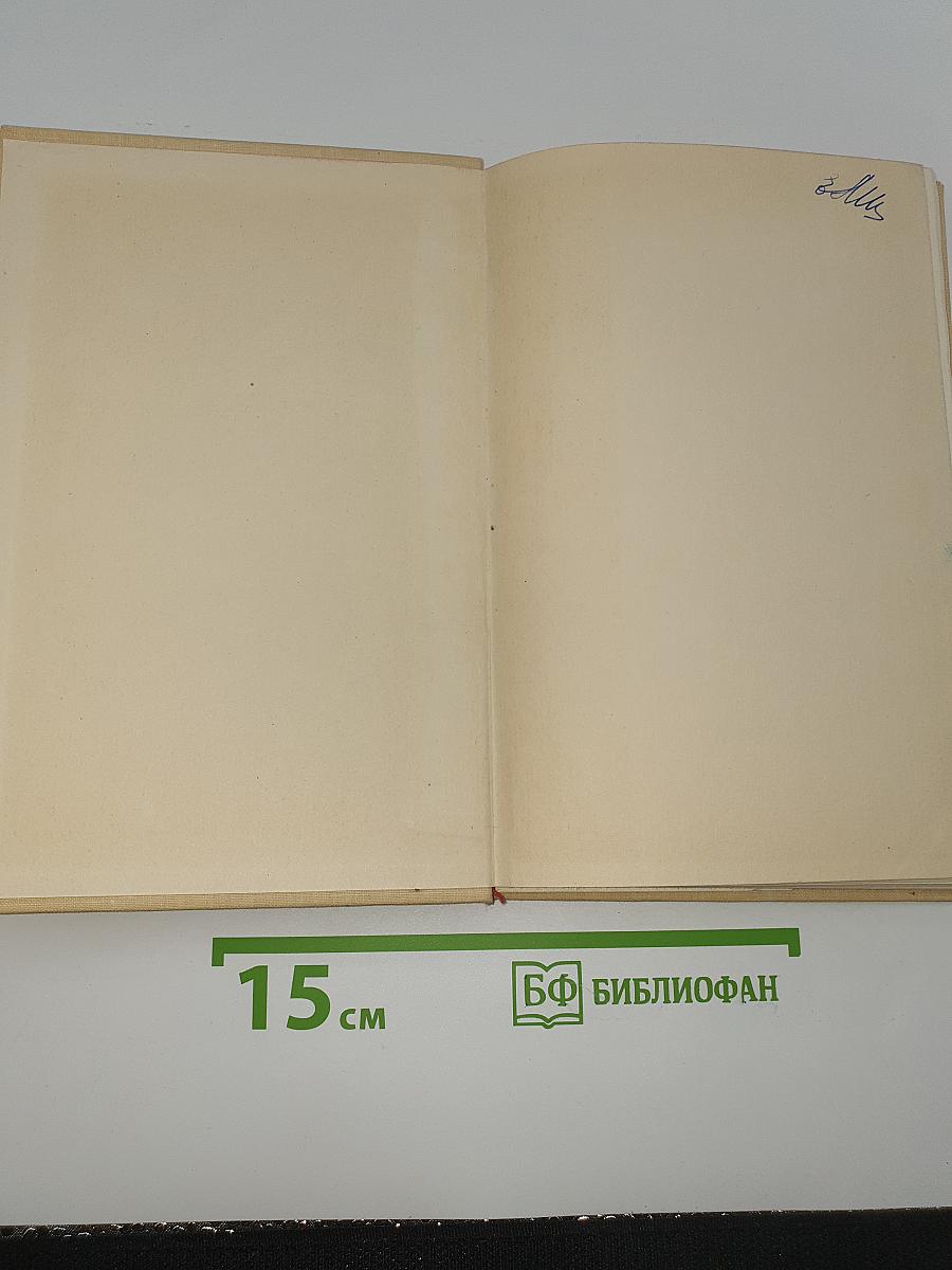 Человек