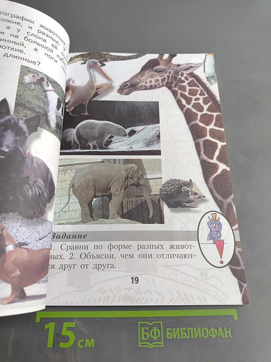 Изобразительное искусство. 1 класс