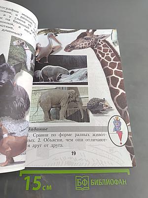 Изобразительное искусство. 1 класс