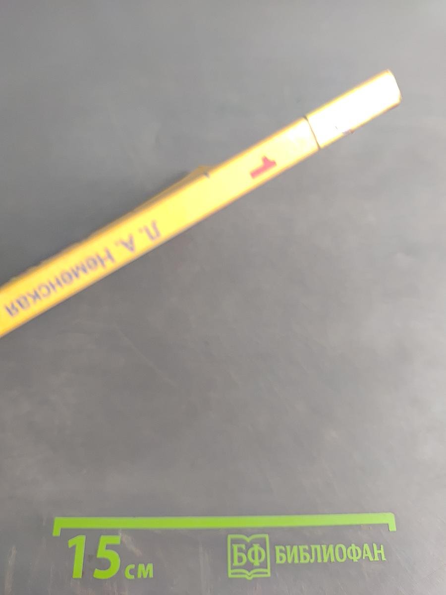 Изобразительное искусство. 1 класс