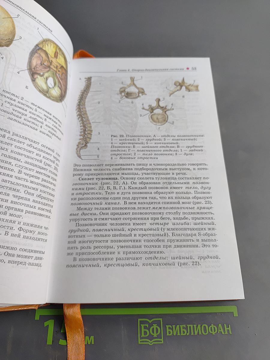 Биология. Человек. 8 класс
