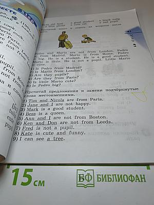 Английский язык. 2 класс. Часть 2. Rainbow English