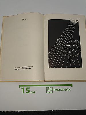 Человек