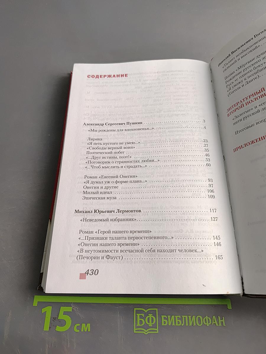 Литература. 9 класс. Часть II