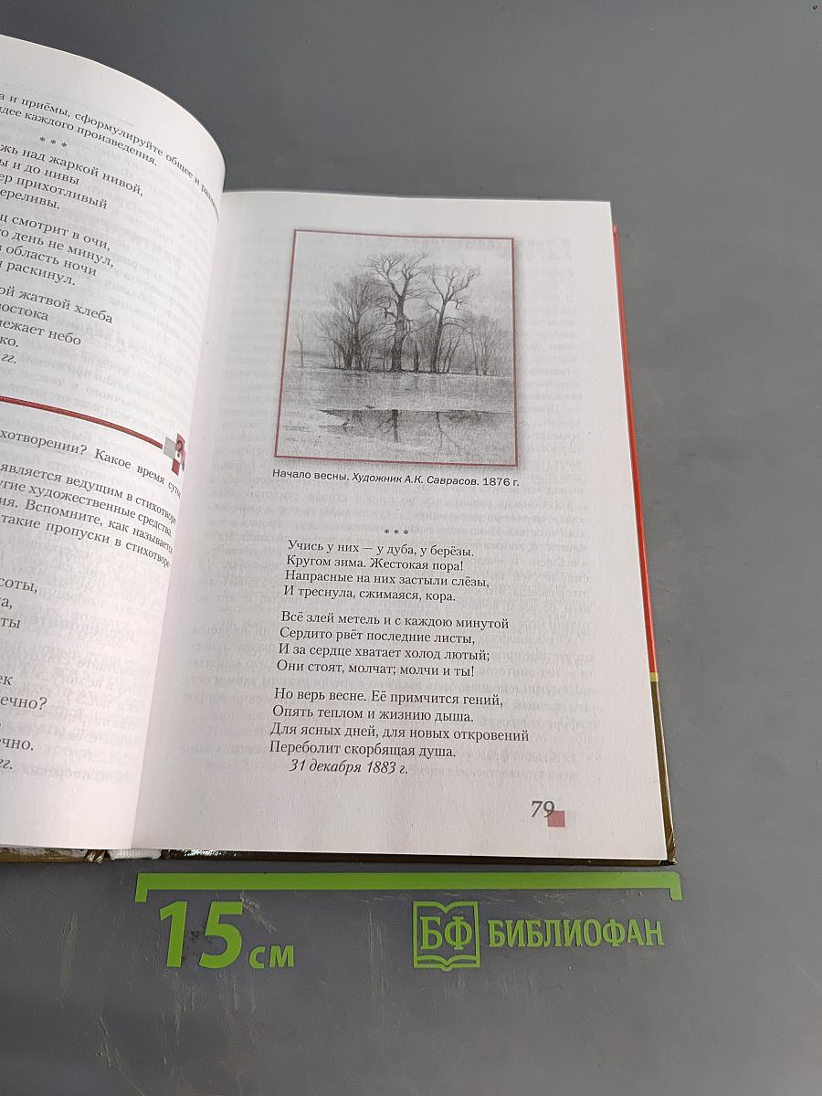 Литература. 8 класс. Часть II