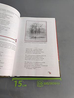 Литература. 8 класс. Часть II