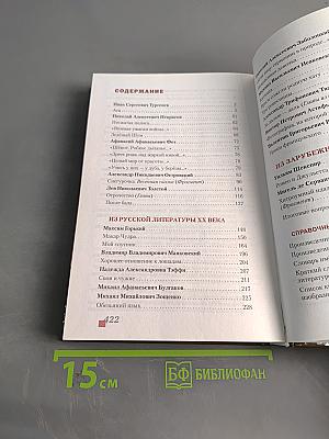 Литература. 8 класс. Часть II