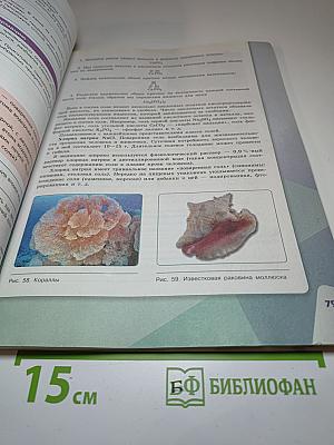 Химия 8 класс