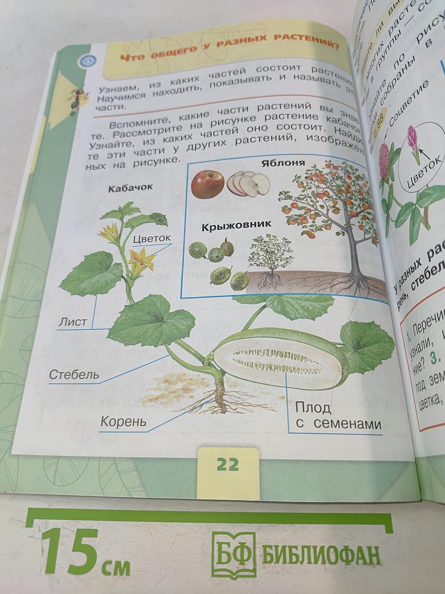 Окружающий мир. Учебник для общеобразовательных организаций. 1 класс. Часть 1