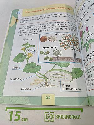 Окружающий мир. Учебник для общеобразовательных организаций. 1 класс. Часть 1