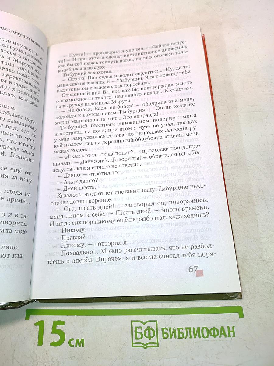 Литература 6 класс. В двух частях. Часть II
