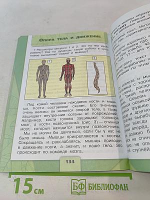 Окружающий мир. Учебник для общеобразовательных организаций. 3 класс. Часть 1