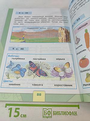 Окружающий мир. Учебник для общеобразовательных организаций. 1 класс. В двух частях. Часть 2