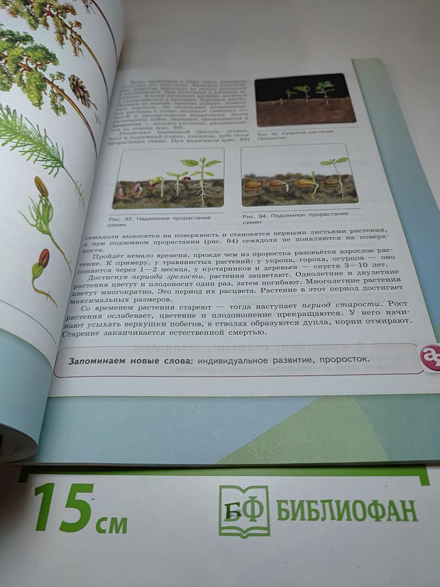 Биология 6 класс