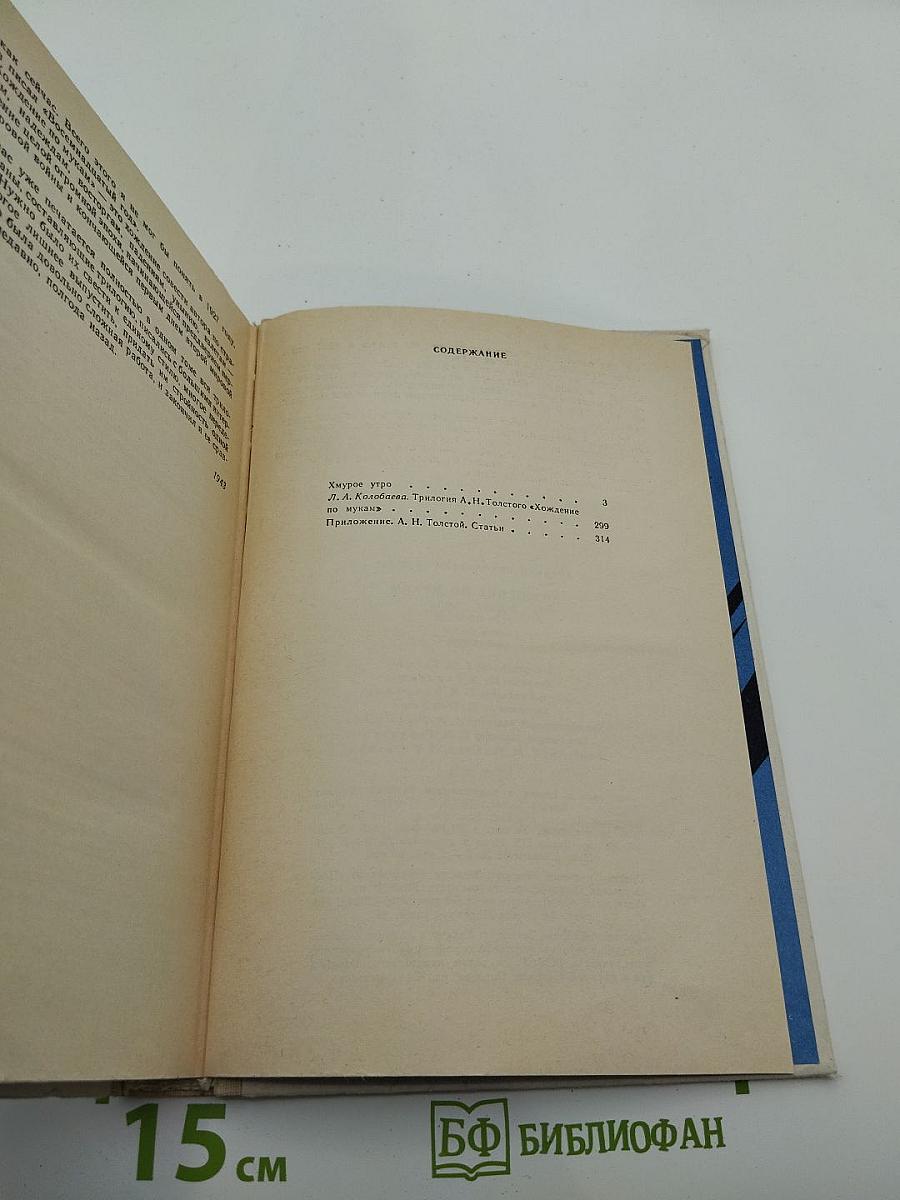 Хождение по мукам. Том 2. Книга 3. Хмурое утро