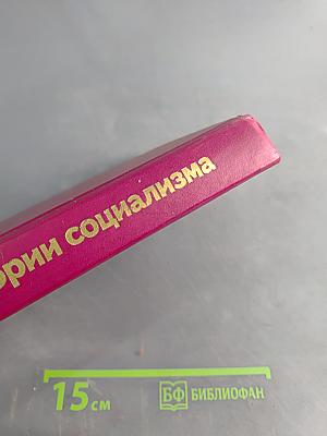 Очерк теории социализма