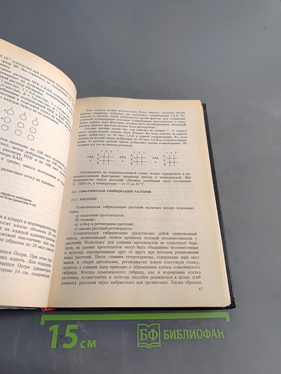 Биотехнология растений: культура клеток