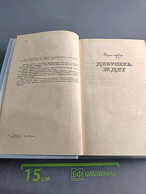 Конец главы