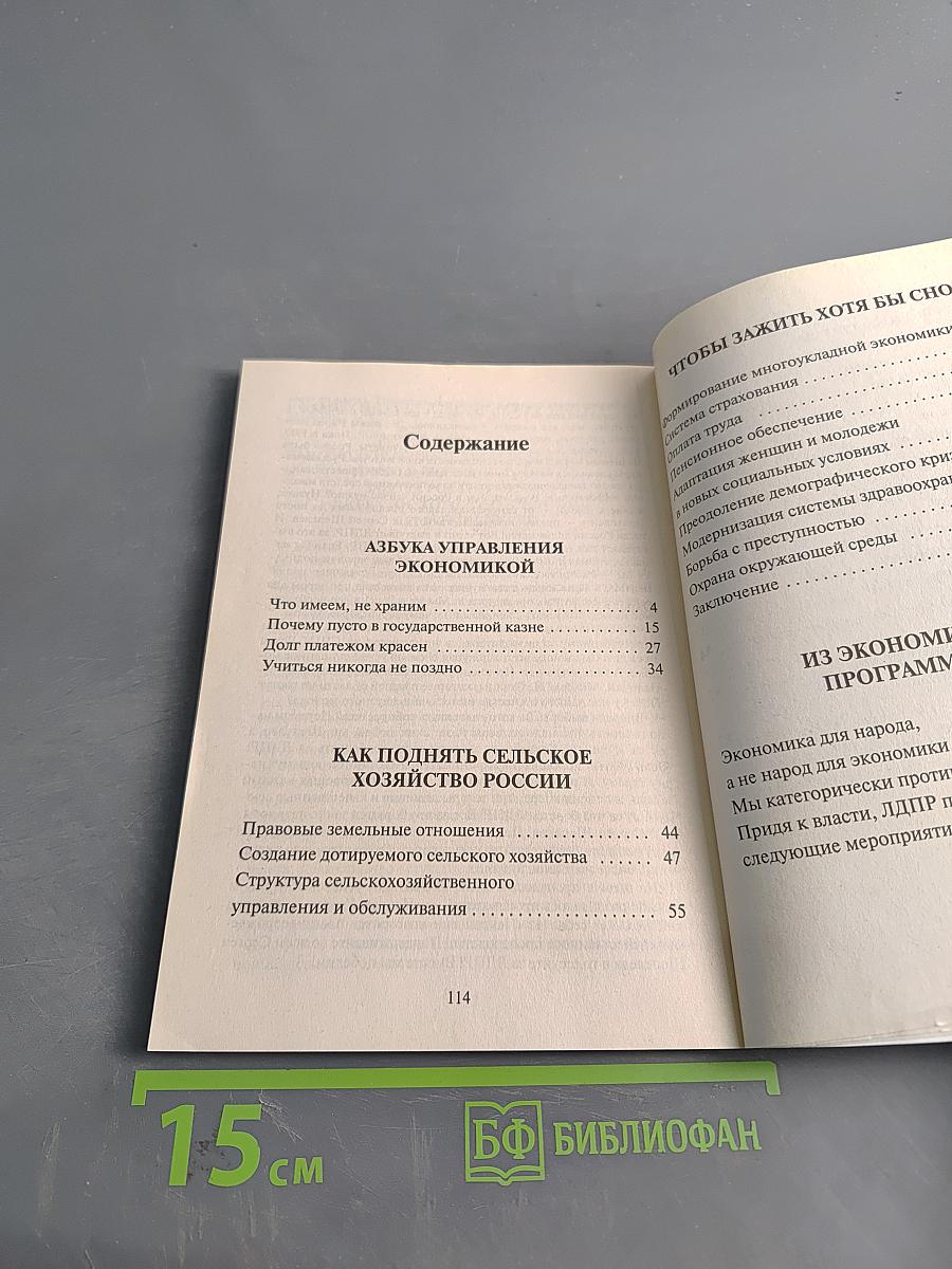 Я – хозяйственник и организатор, а все остальное потом