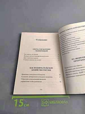 Я – хозяйственник и организатор, а все остальное потом