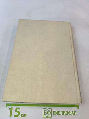 Философия. Основные идеи и принципы