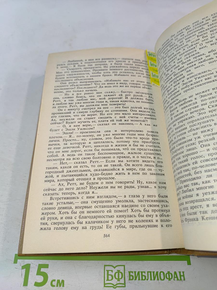 Унесенные ветром. Том 2