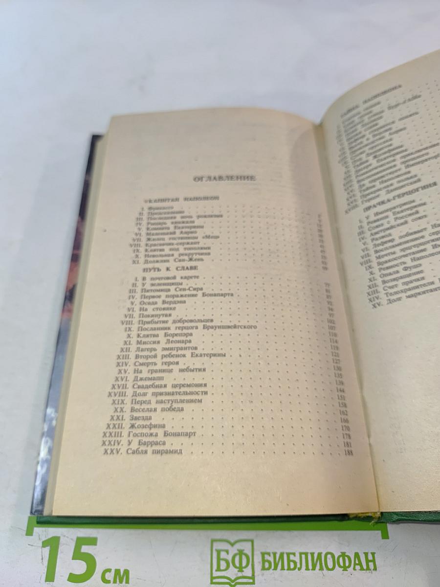 Капитан Наполеон. Тайны венецианцев