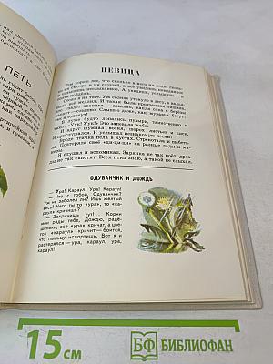 Сорочьи тараторки