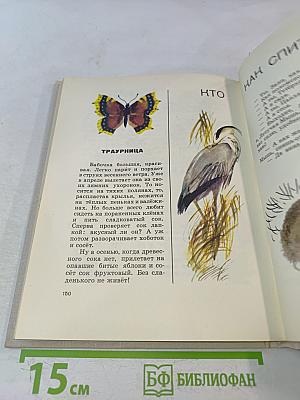 Сорочьи тараторки