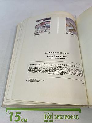 Сорочьи тараторки