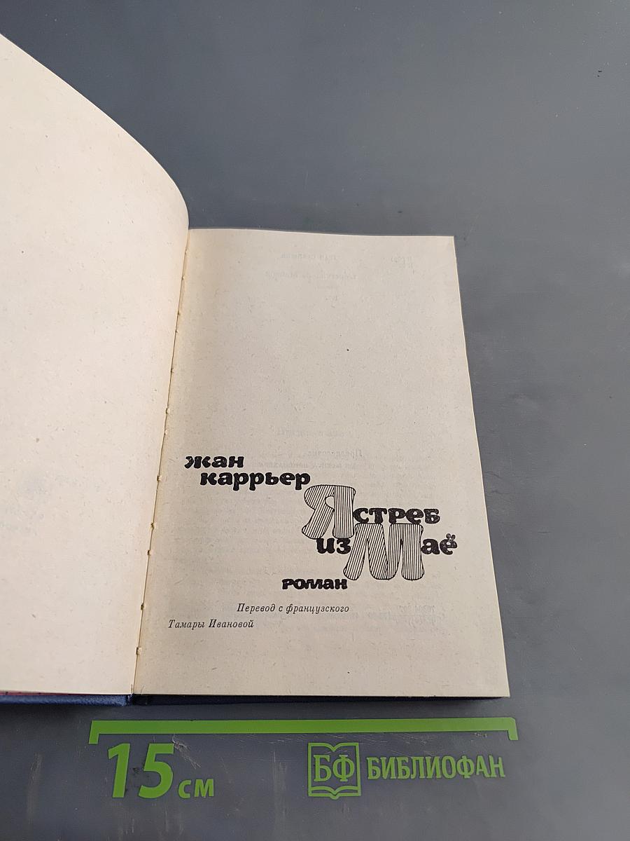 Ястреб из Мая