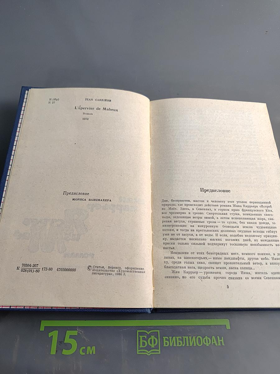 Ястреб из Мая