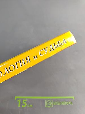 Нумерология и судьба. Ваша жизнь предсказуема
