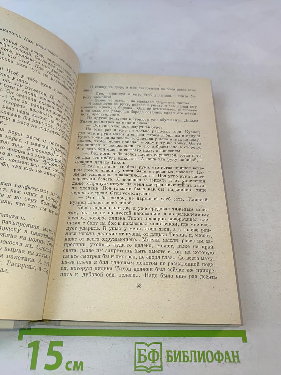 Иду в жизнь