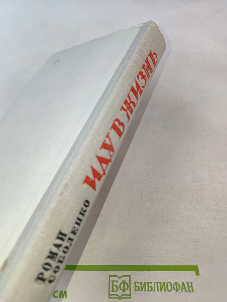 Иду в жизнь