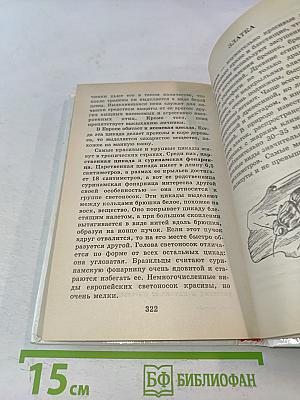 Я познаю мир. Детская энциклопедия: Насекомые