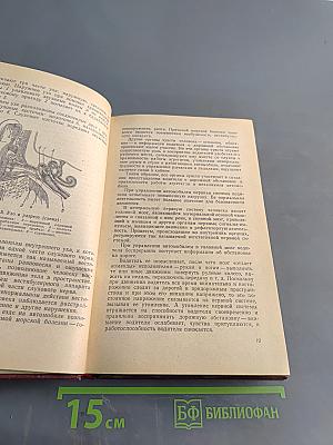 Безопасность движения