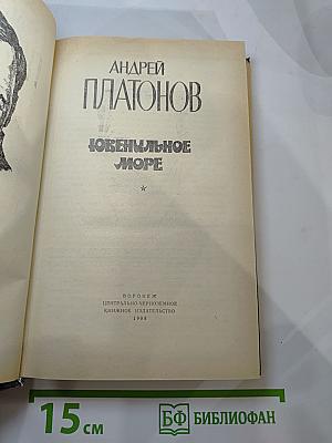 Ювенильное море