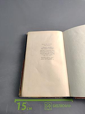 Юрта ворона