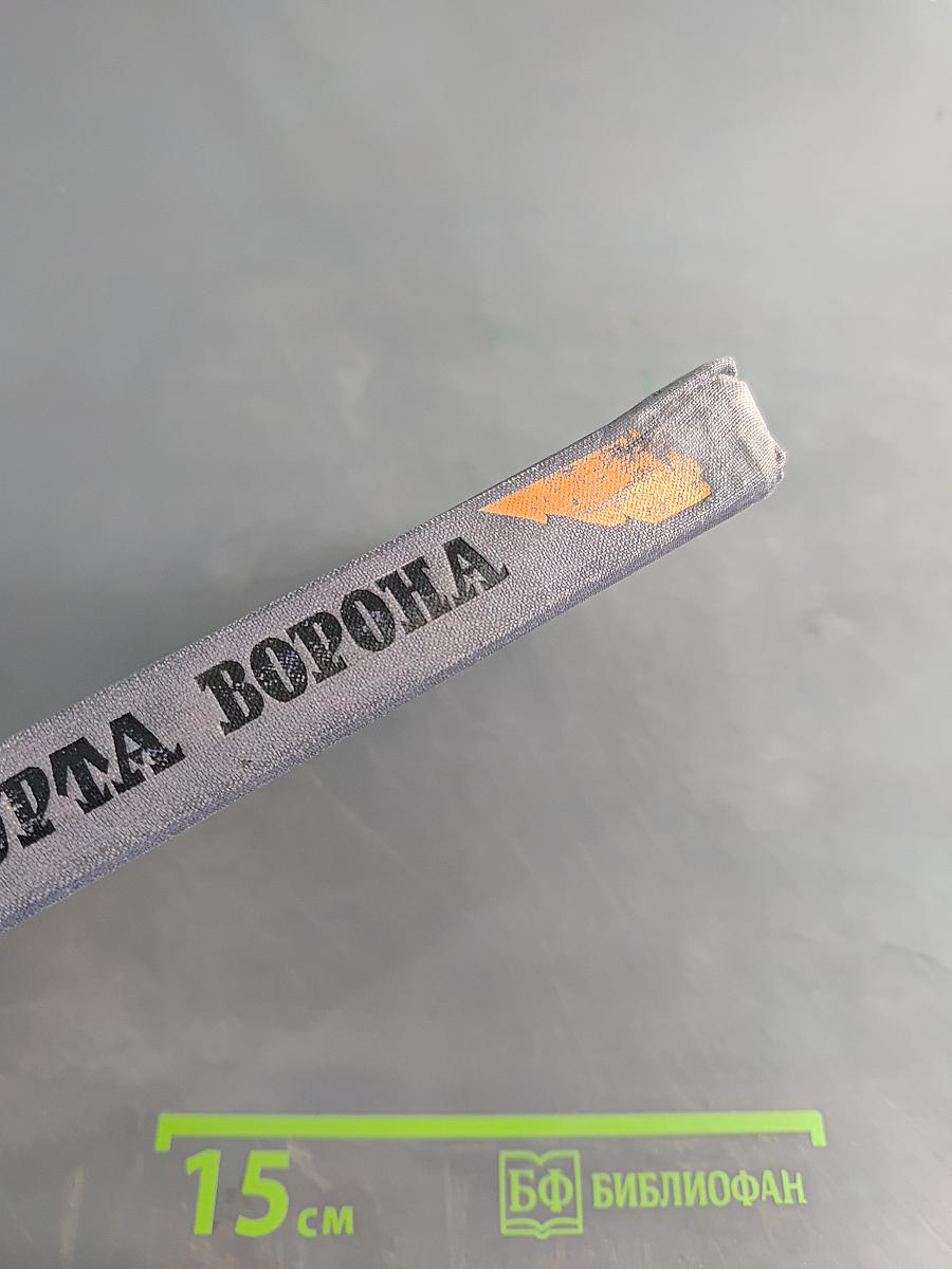 Юрта ворона