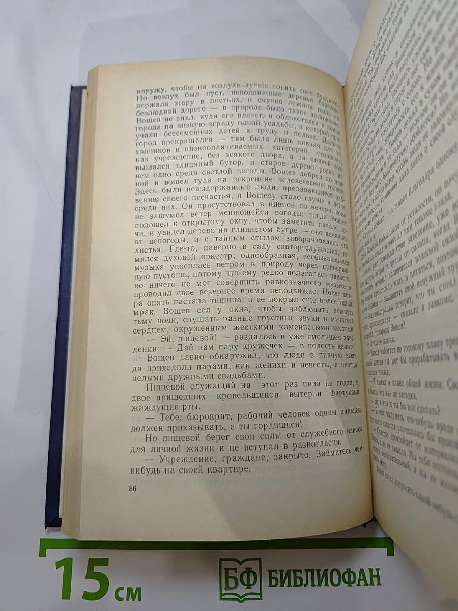 Ювенильное море
