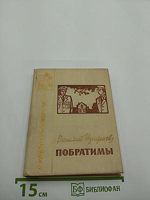 Побратимы