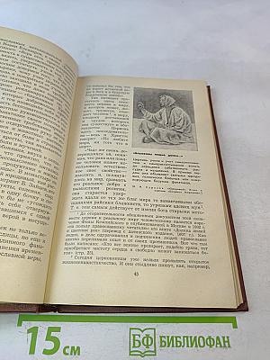 Катихизис без прикрас