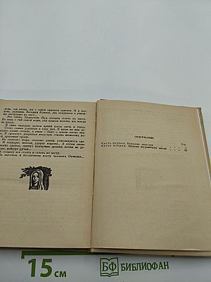 Побратимы