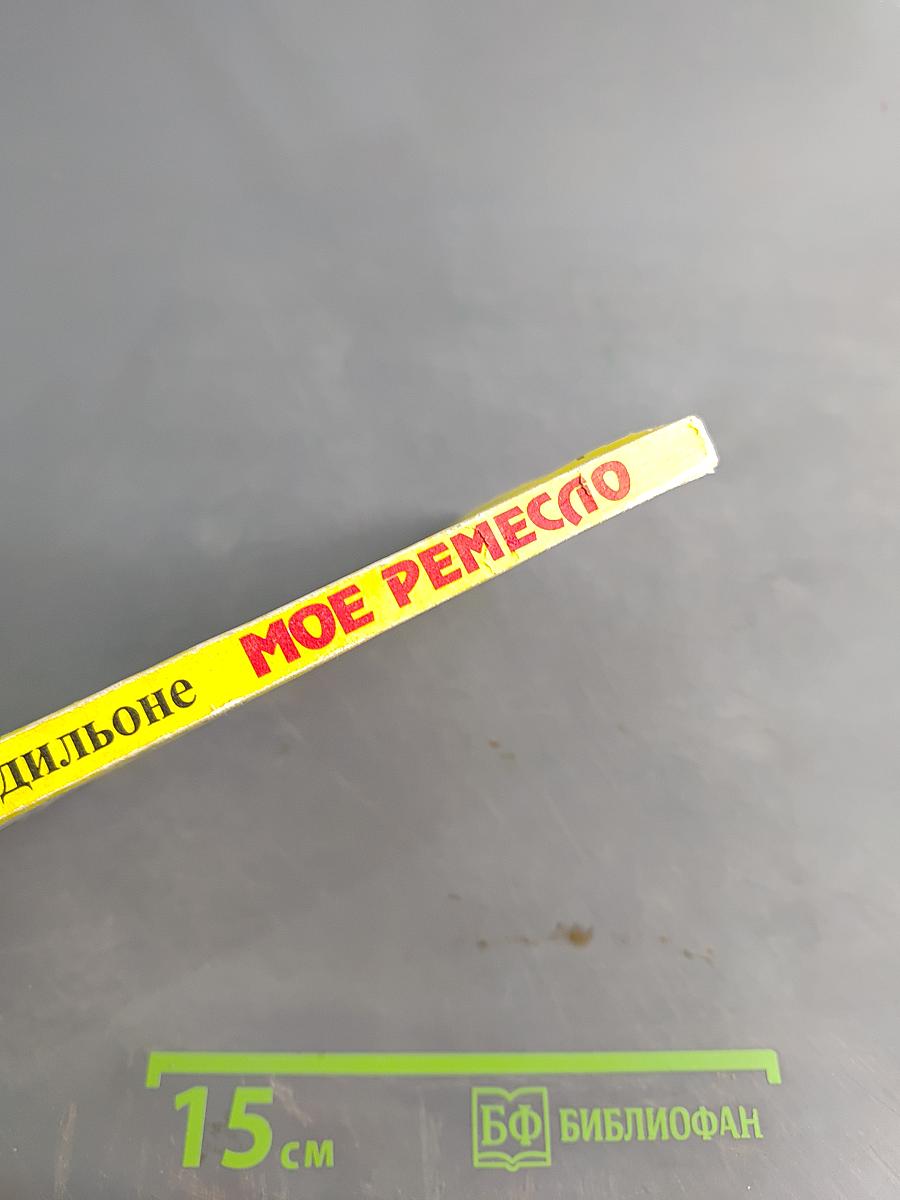 Мое ремесло. Десять лет скандала ради истины. Свидетельство психоаналитика